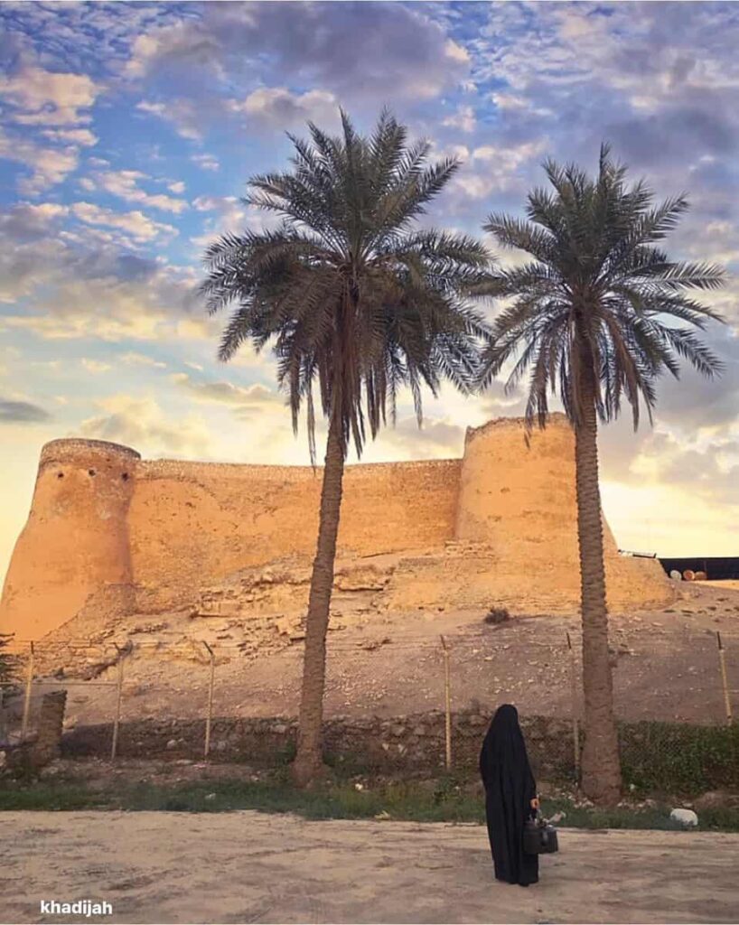 لمحة بسيطة عن بيوت عسير القديمة و اهم المبادرات فيها