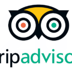 ما هي نسبة تطهير سهم Tripadvisor Inc؟