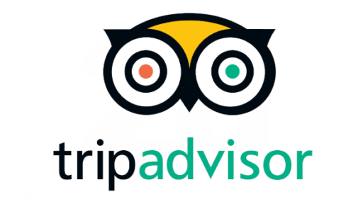 ما هي نسبة تطهير سهم Tripadvisor Inc؟