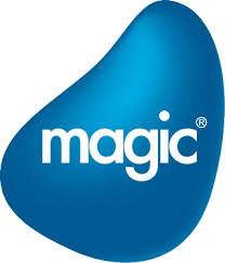 هل سهم شركة Magic Software Enterprises حلال ام حرام