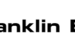 هل سهم شركة Franklin Electric Co., Inc حلال ام حرام