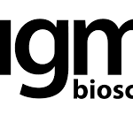 هل سهم شركة IGM Biosciences, Inc حلال ام حرام